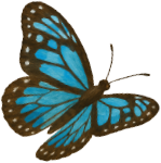 森林(もり)であそぶ日 at 岩国市森林体験交流施設「丸田村」 2025年11月8日(土)