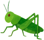 森林(もり)であそぶ日 at 岩国市森林体験交流施設「丸田村」 2025年11月8日(土)