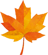 ワークショップ