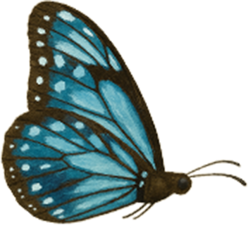 07 丸田村について