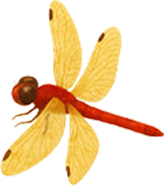 07 丸田村について